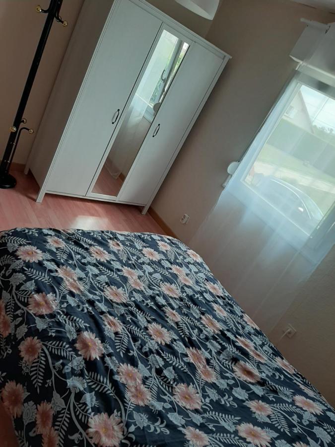 Gite Chez LucieGuntzviller エクステリア 写真